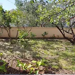 Mirna Appartement