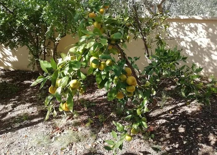 Mirna * Betina (Sibenik-Knin)